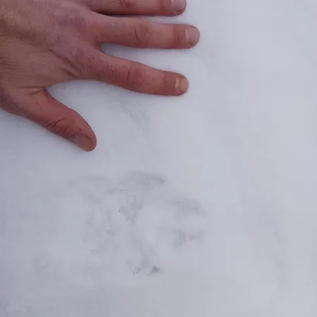 Bokova Διαμέρισμα