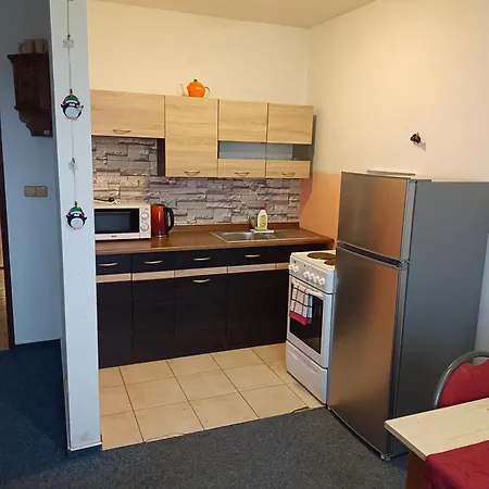 Apartment Bokova *
