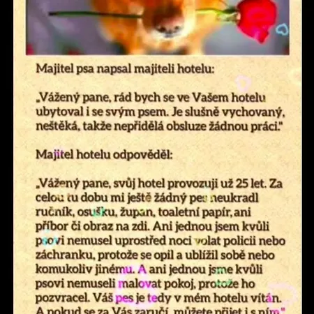 Διαμέρισμα Bokova